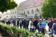 Fußwallfahrt 2019