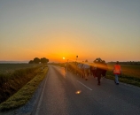 Bittgang Scheuer 2025