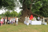 Gottesdienst a.d.Wolfgangseiche