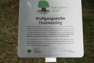Gottesdienst a.d.Wolfgangseiche