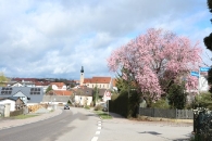 Palmsonntag 2024